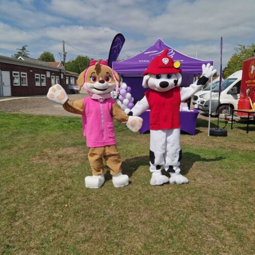 Two Mascots Appearance