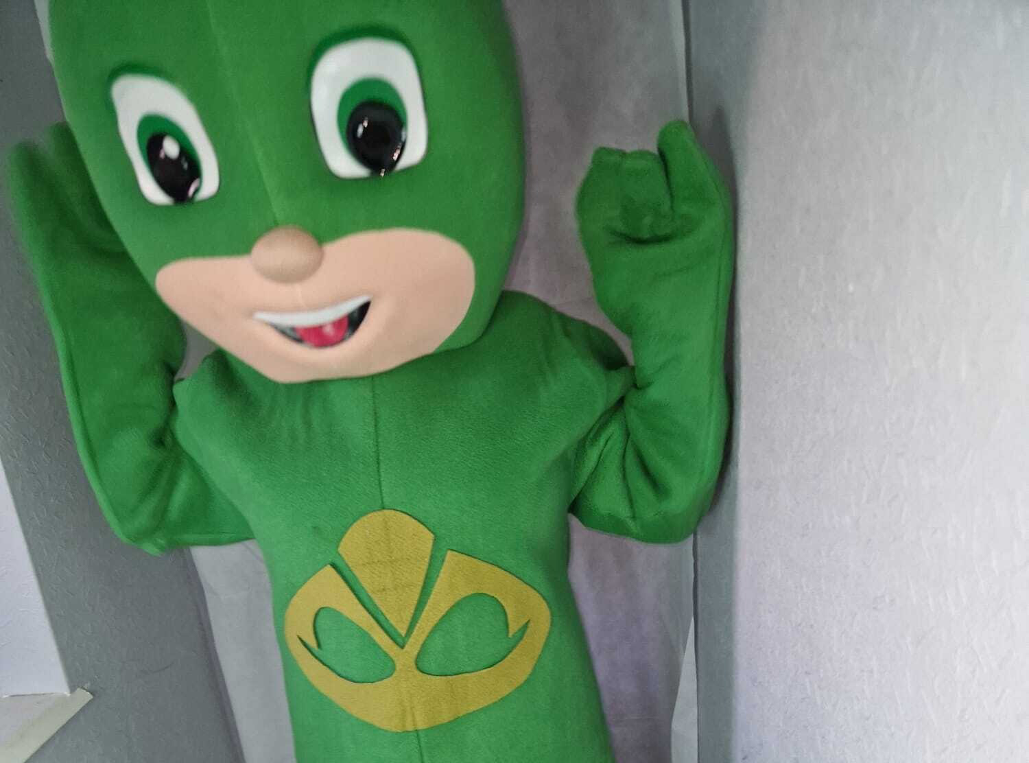 Green-Lizard-Hero
