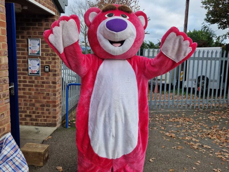 Pink Hug Bear