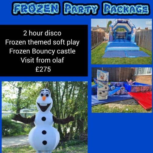 Frozen Disco