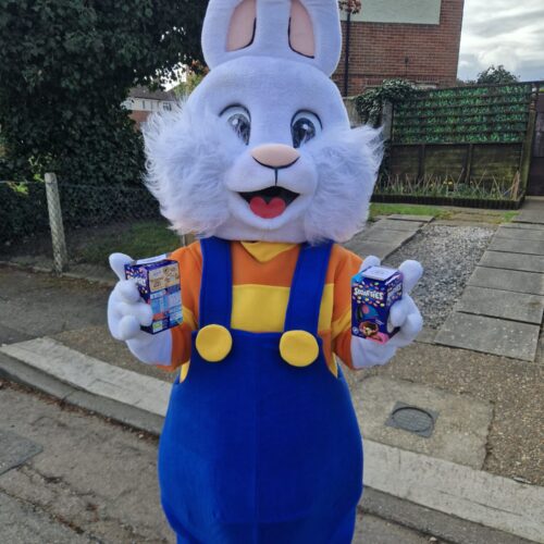 Floppy Ear Bunny Mascot Appearance
