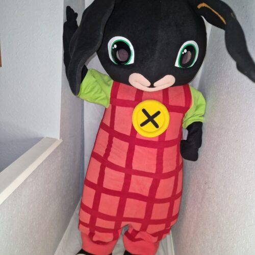 Little Black Bunny Mascot Appearance