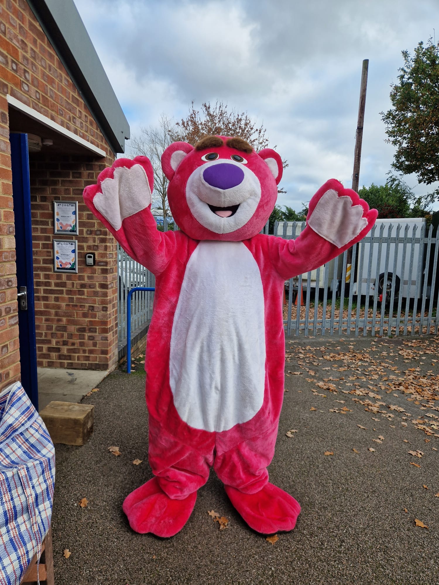 Pink Hug Bear