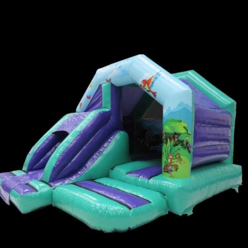 Safari slide castle