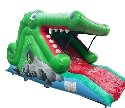 Crocodile Slide Castle