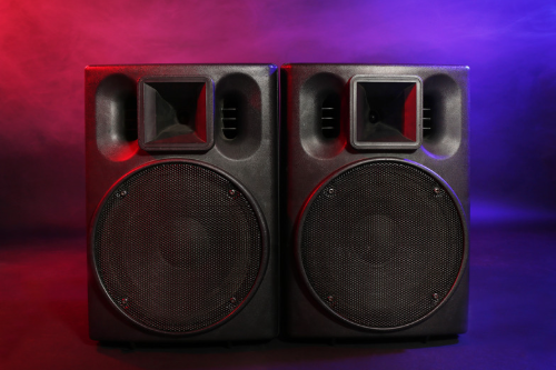 Two Portable Speakers